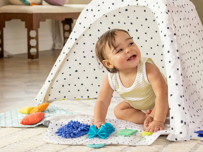 The Play Gym
