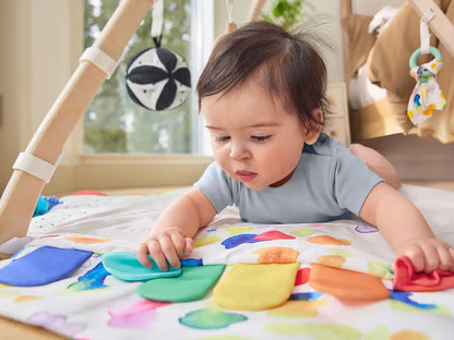 The Play Gym