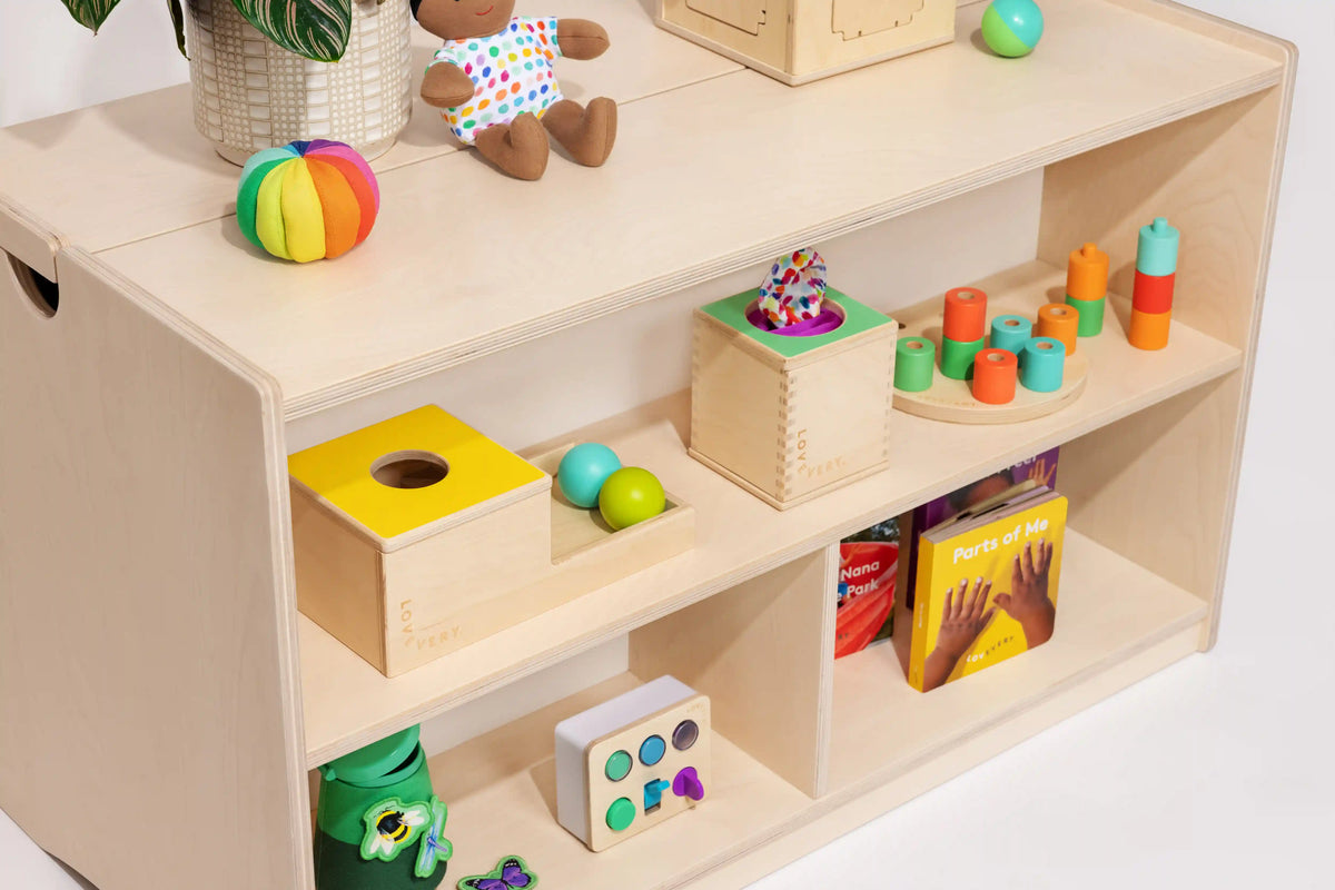 The Montessori Playshelf
