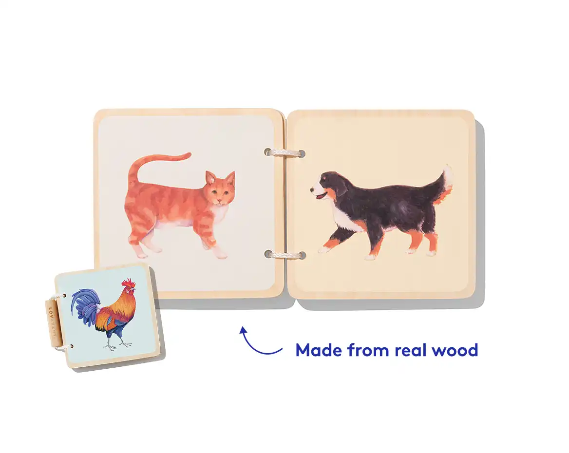 Explore the great indoors and create a bedtime routine