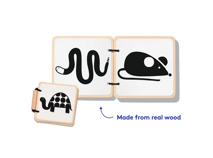 Explore visual perception and a bedtime lullaby
