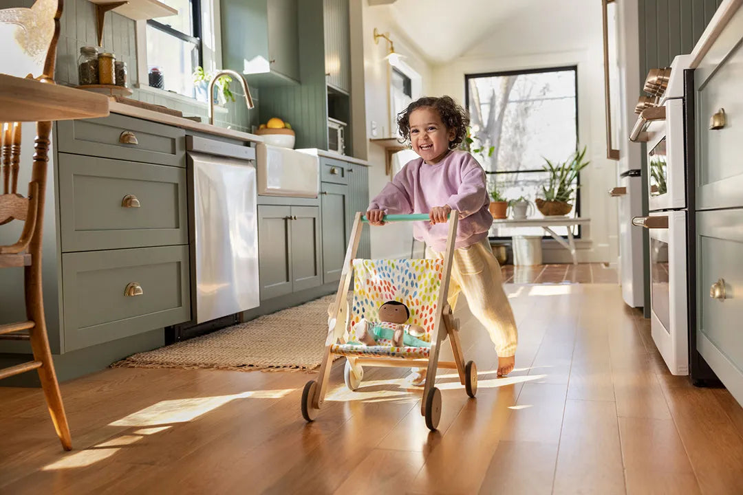 The Buddy Stroller