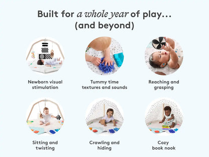 The Play Gym