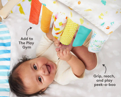 Baby’s First 6+ Months