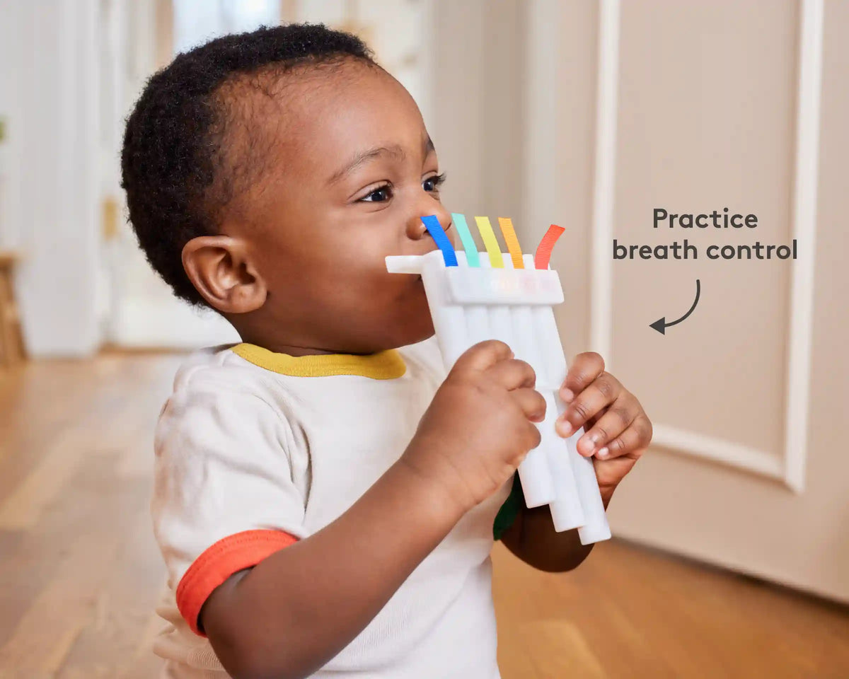 STEM & Music Gift Set