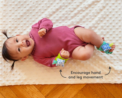 Baby’s First 6+ Months