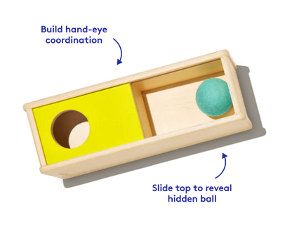 The Thinker Play Kit