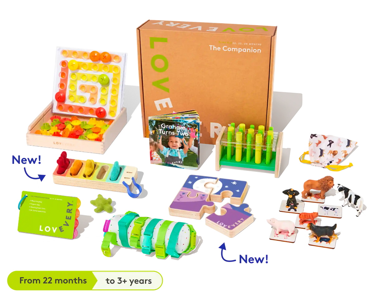 The Companion Play Kit