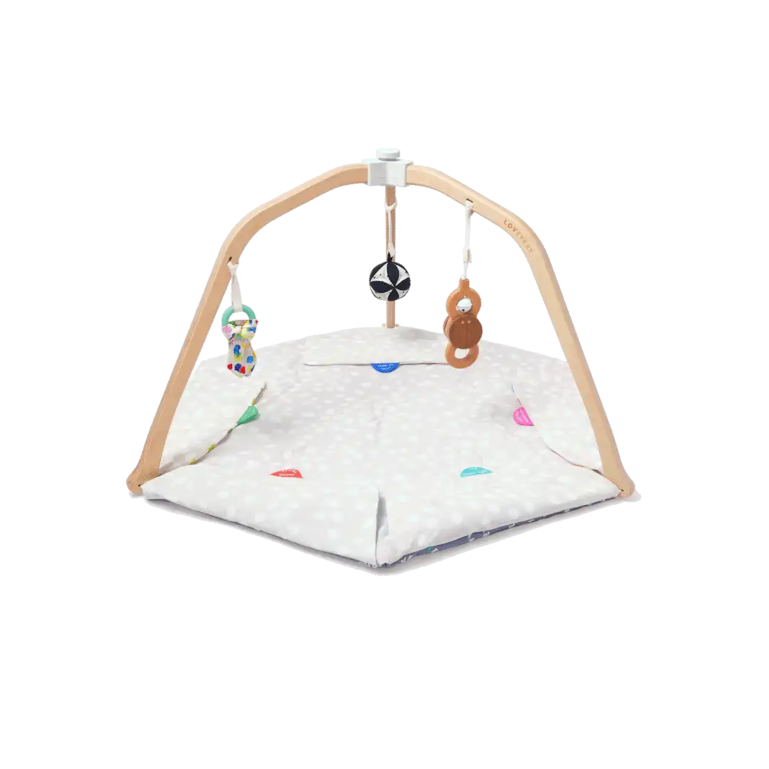 The Play Gym
